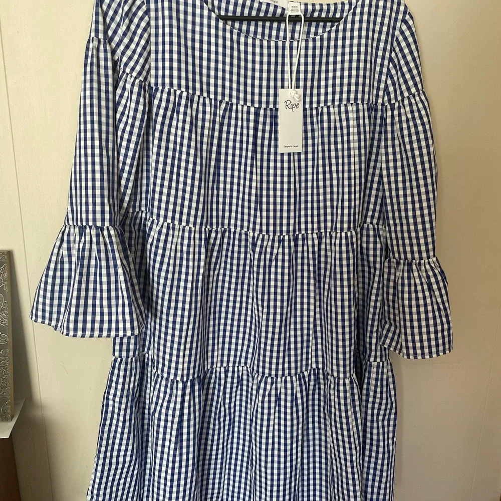 Ripe Blue Gingham Mini Dress - Picture 2 of 7